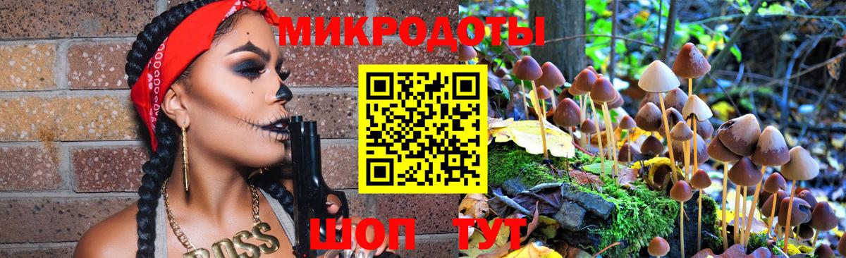 Псилоцибиновые грибы Psilocybe  Вход с VPN  Псилоцибиновые грибы Cubensis  Осинники 